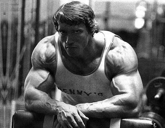 arnold schwarzenegger bodybuilding posters. arnold schwarzenegger photos.