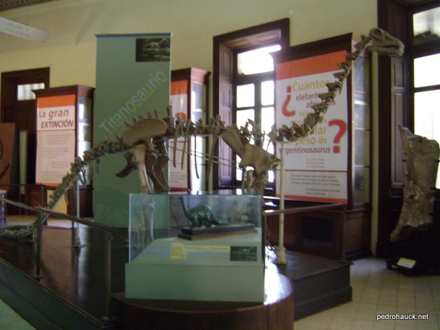 [DSC09323.JPG]