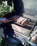 Yummy spiedis being grilled Italian style