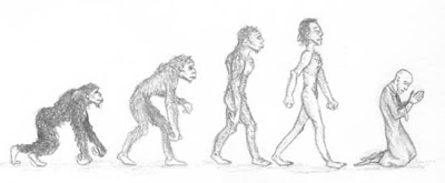 Evolution