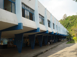 Colégio Estadual Professor Alcide Jubé