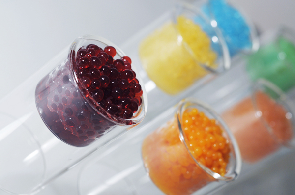 Fotos de platillos de la cocina molecular