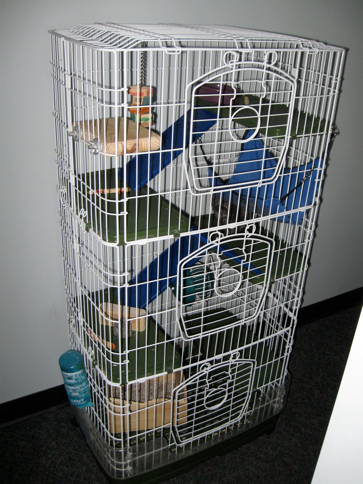 { m + v } movement In the Market for a Chinchilla Cage?