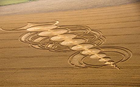 cropcircles_1699264c.jpg