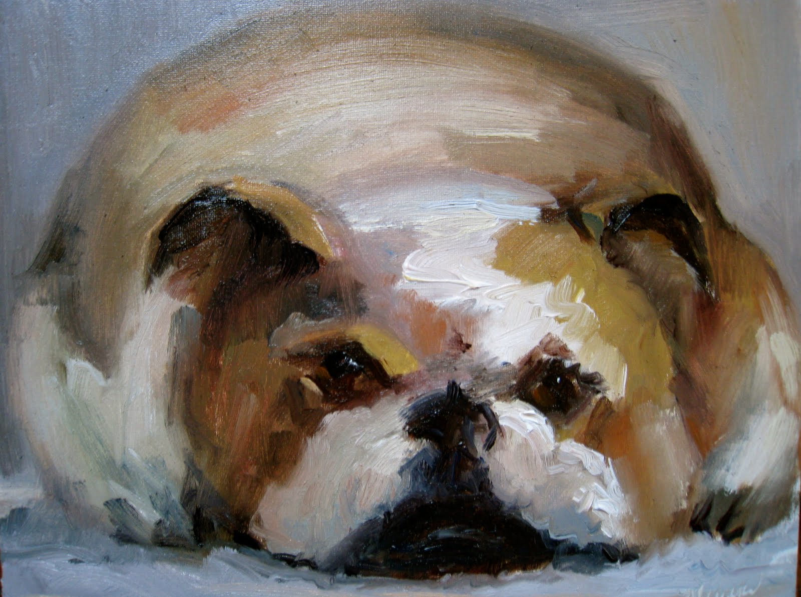 Doggies+and+kitties