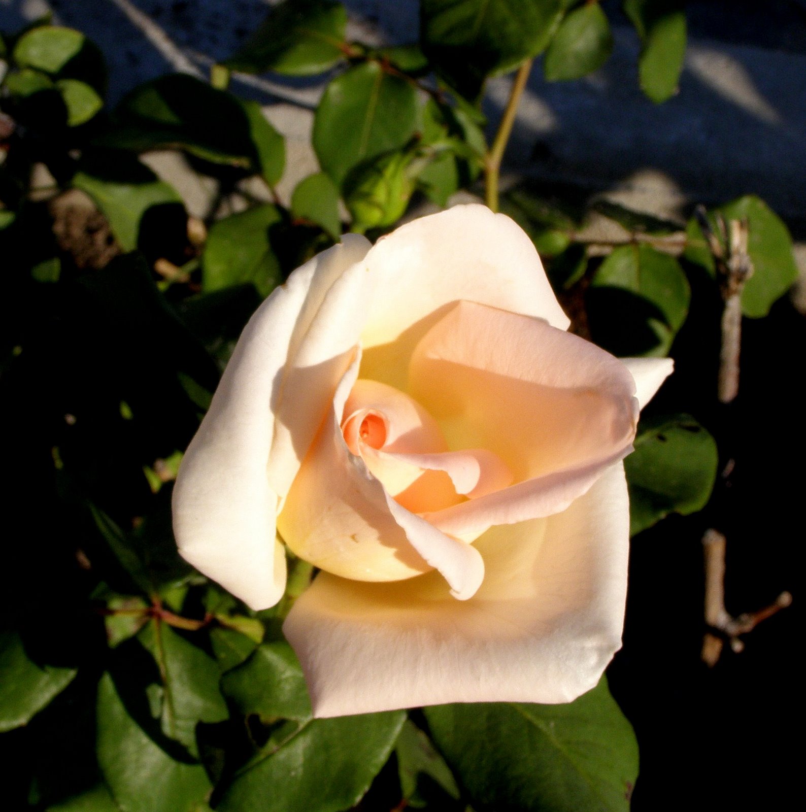 [PA210022-1.JPG]