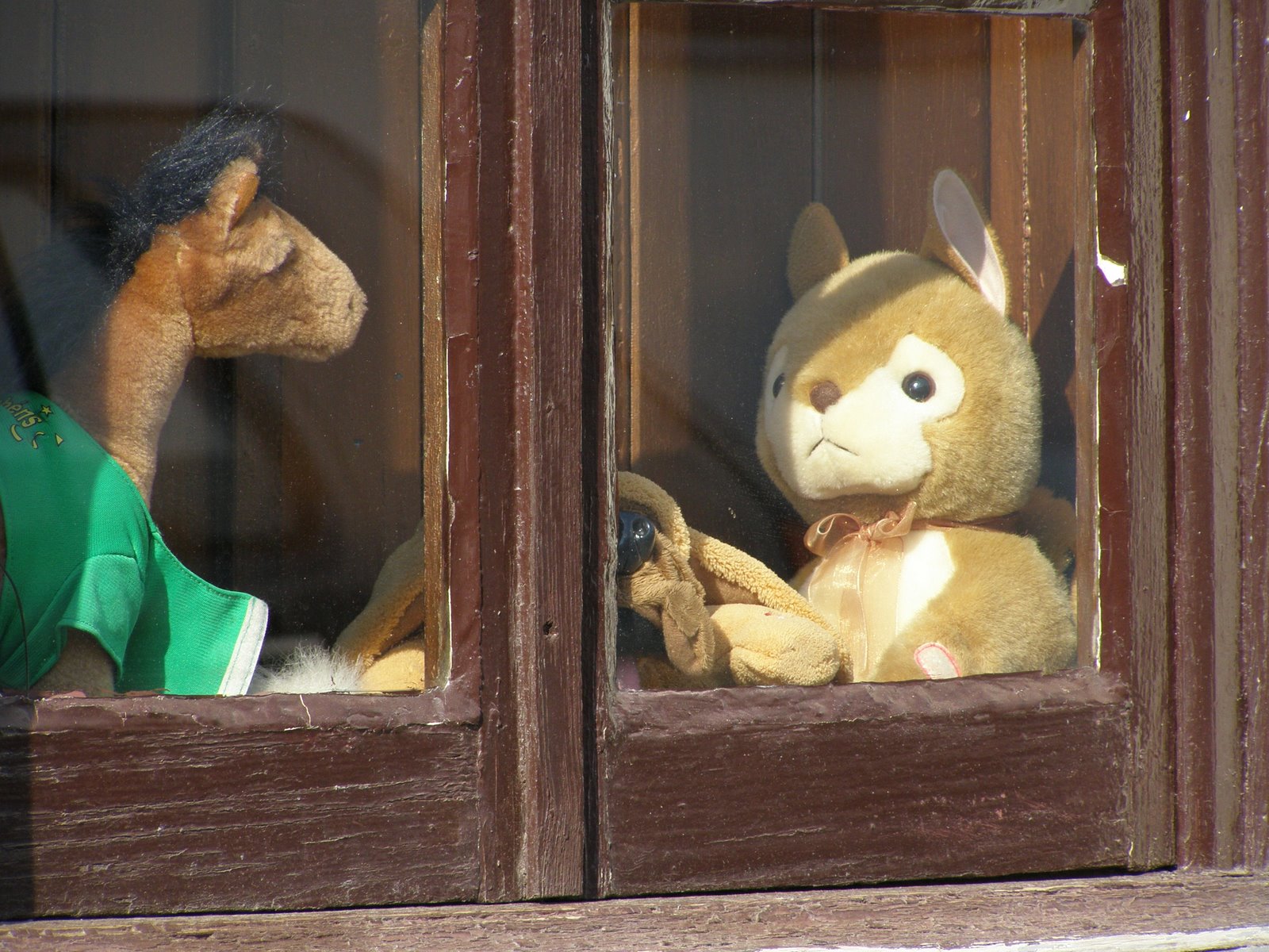 [P5050136.JPG]