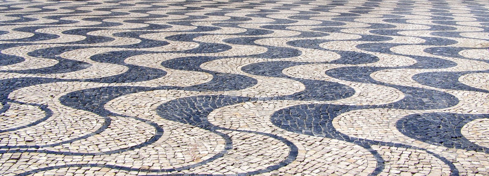 [P7220044-1.JPG]