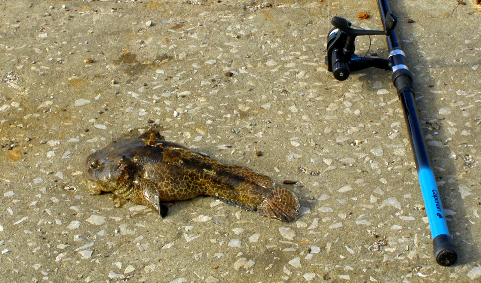 [P3100104.JPG]