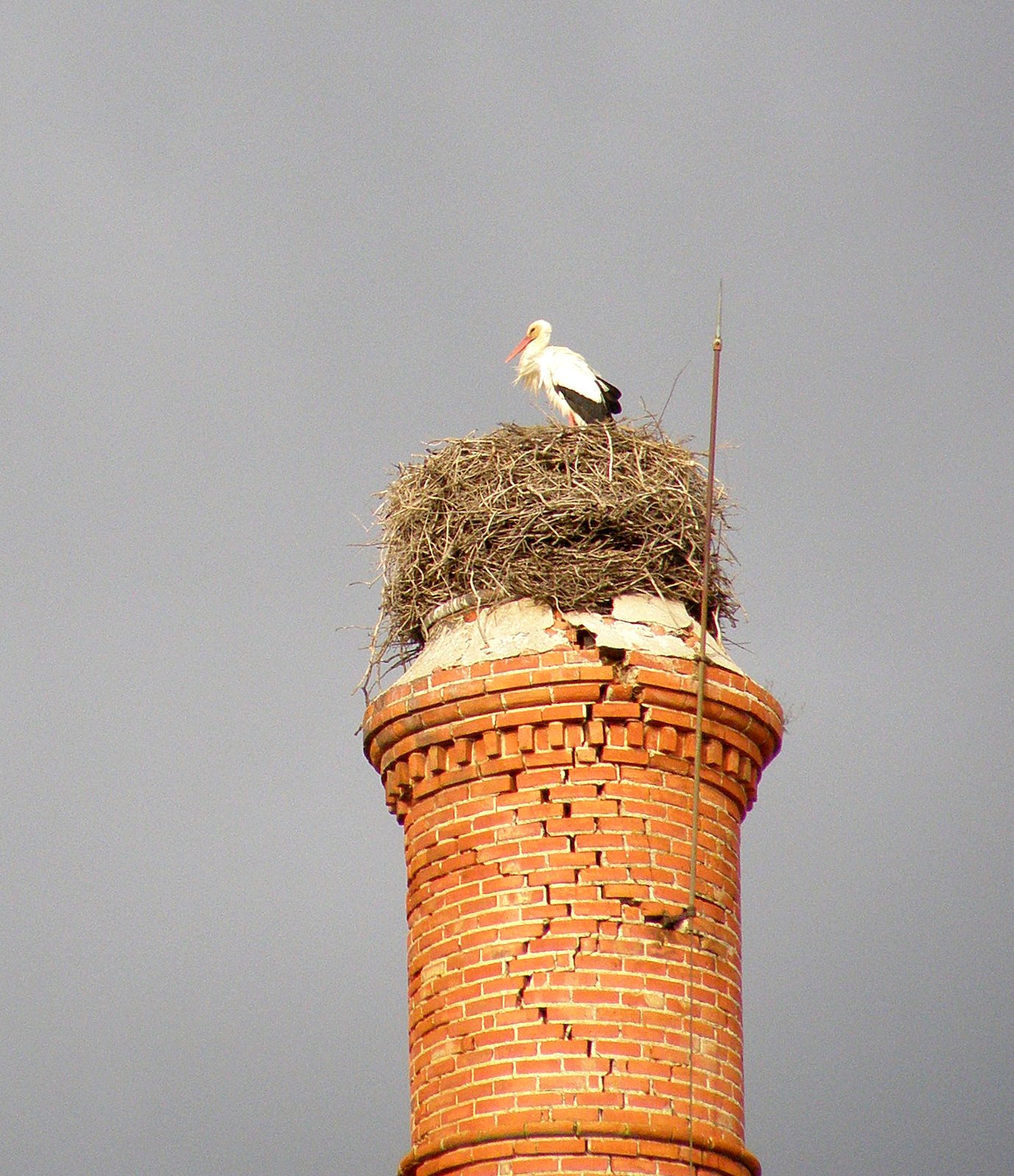 [P5130113.JPG]