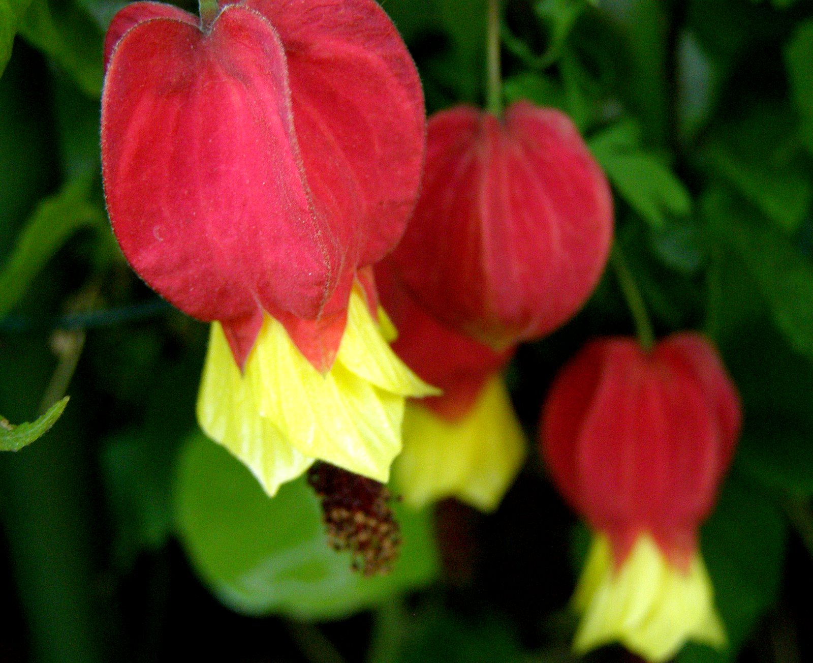 [P5300037.JPG]