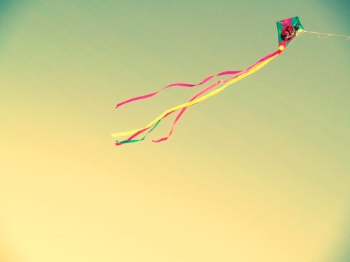 [kite+-+whi.jpg]