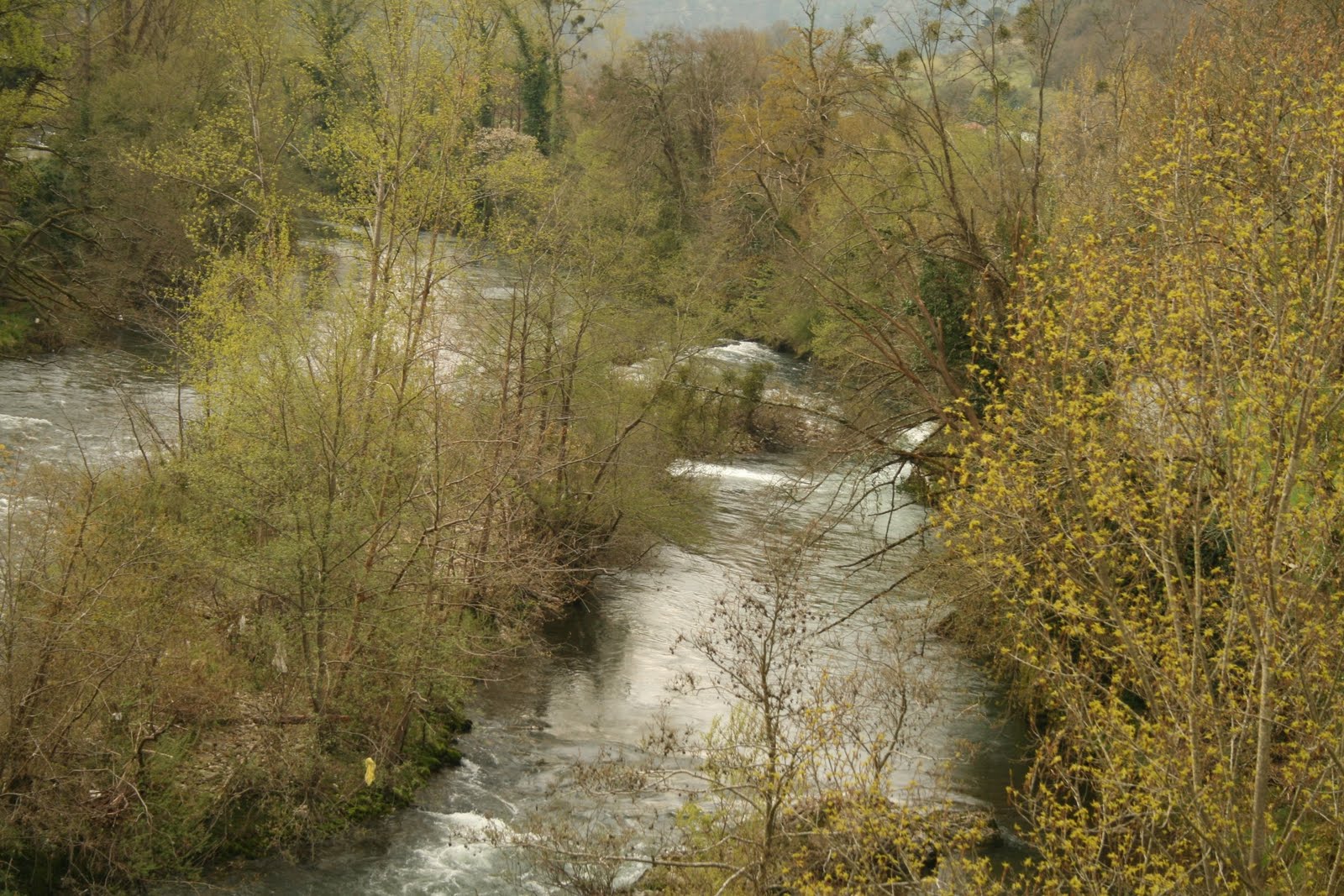 [IMG_8008a.jpg]