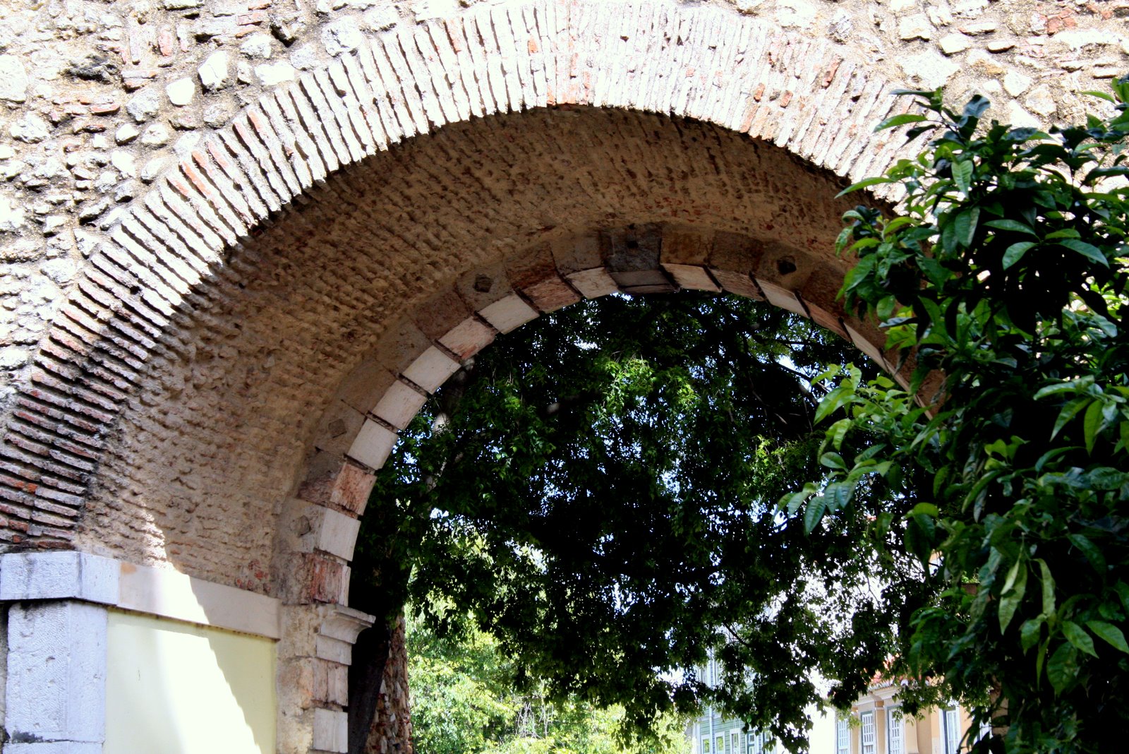 [IMG_4714.JPG]