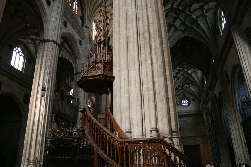 [IMG_7624a.jpg]