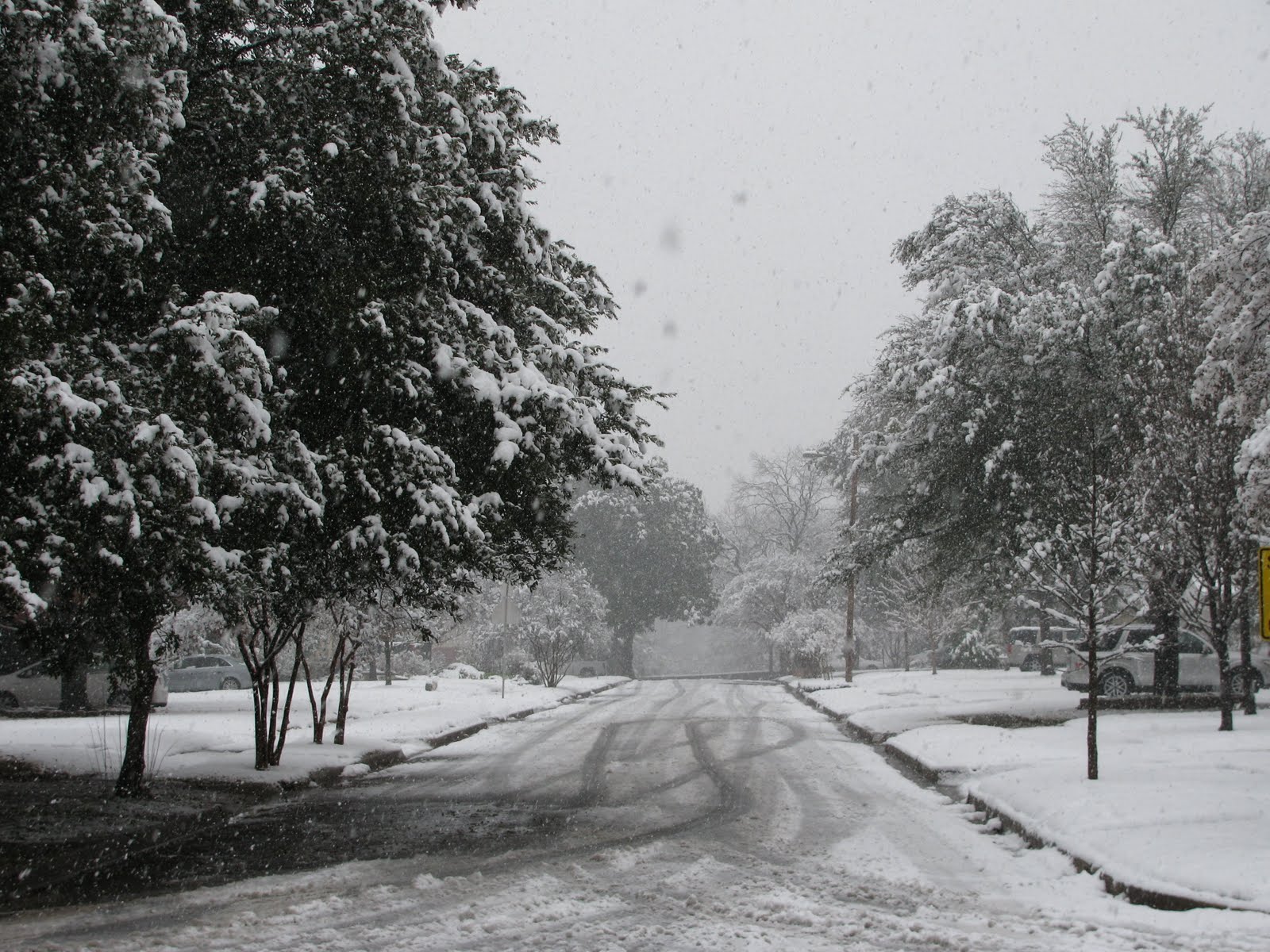 [2010.2.snowy+street.JPG]