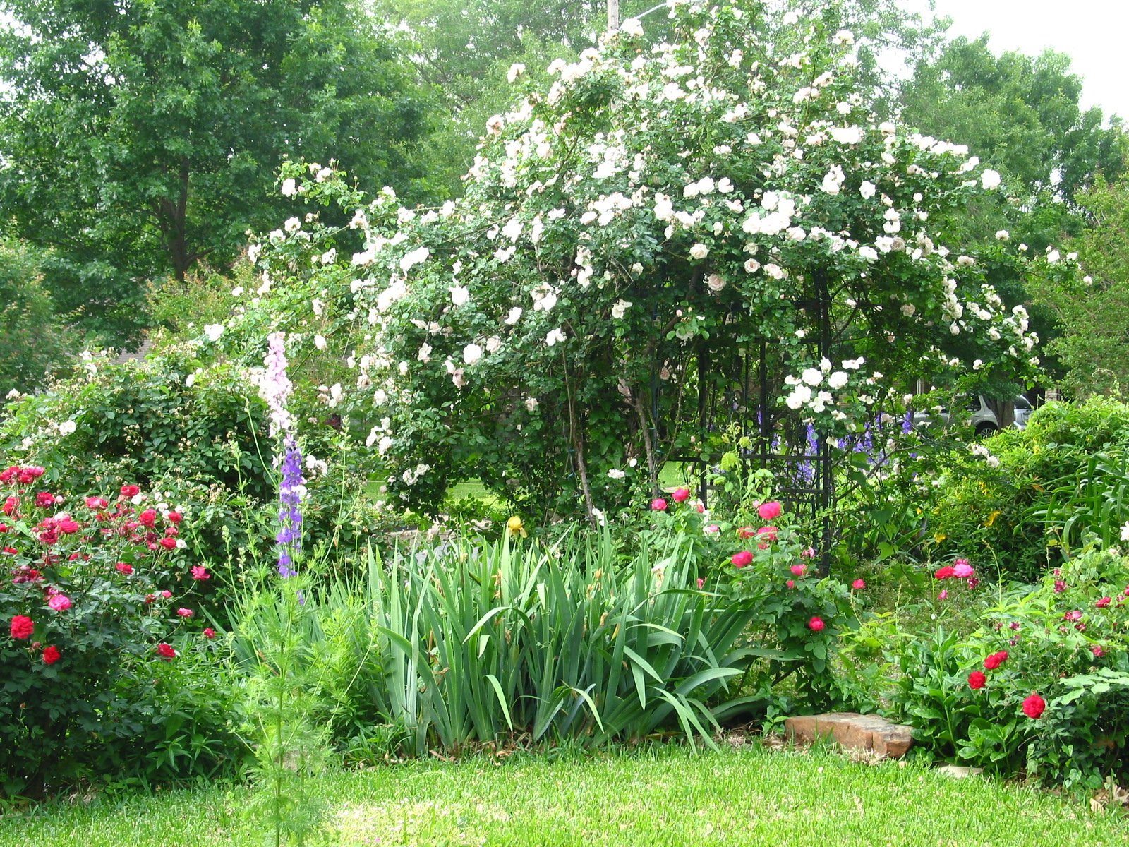 [front+yard+5.08.jpg]