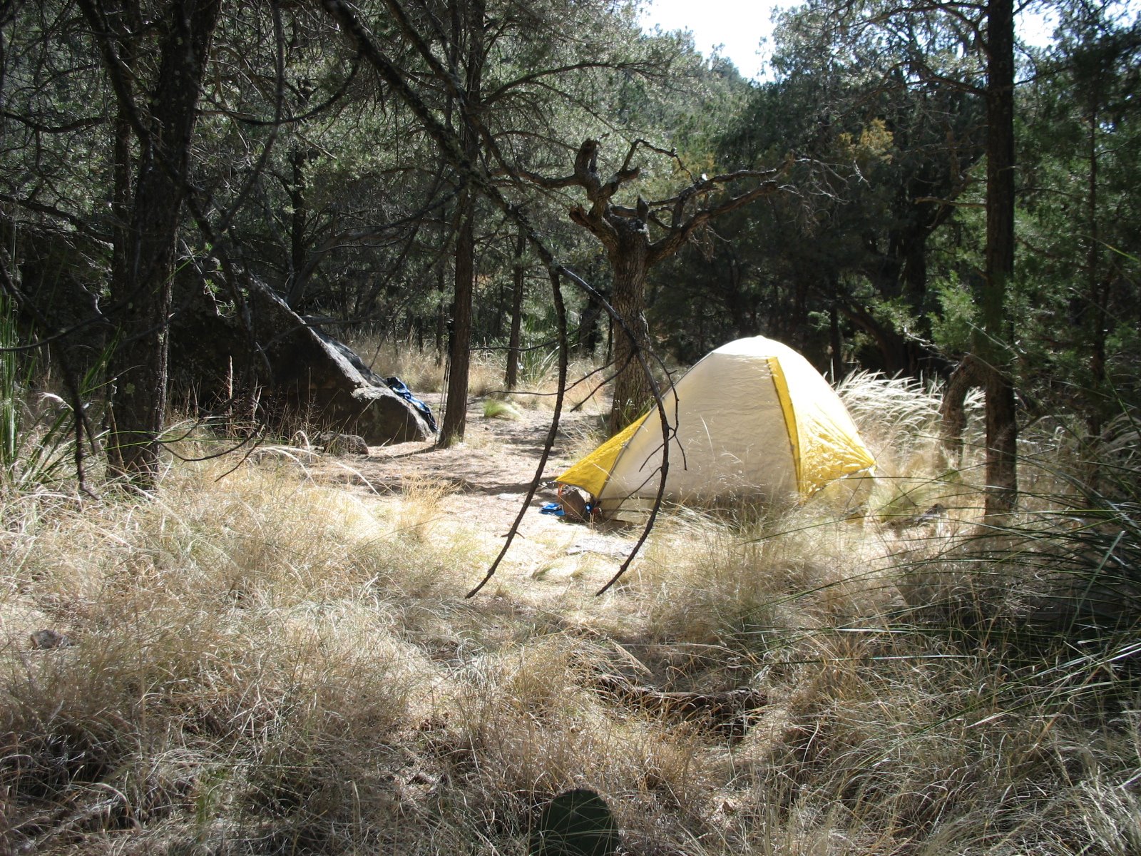 [2009+Big+Bend2.JPG]