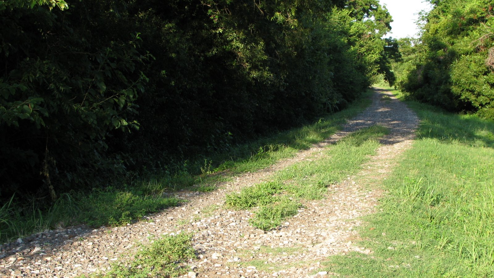 [2009+walk+rr+track2.JPG]