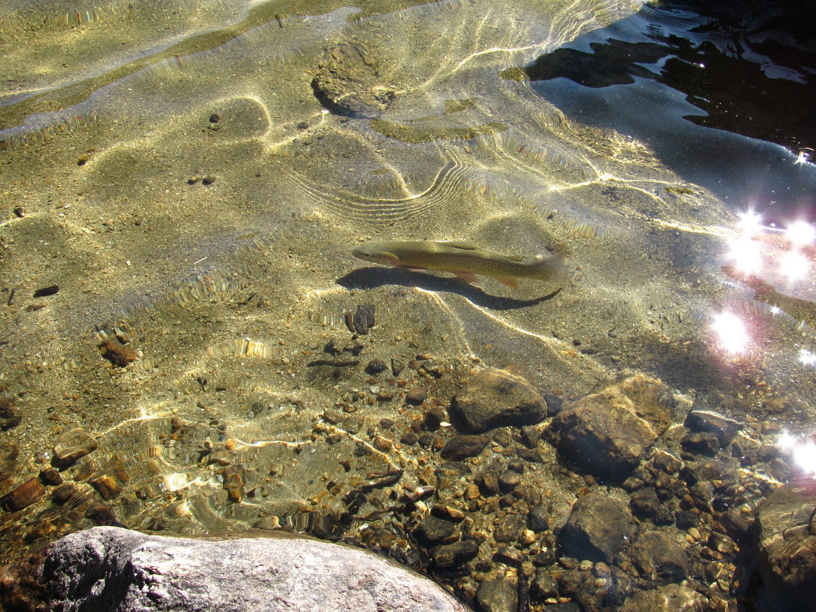 [Wind+Rivers+2009+Cirque+35.JPG]
