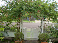 rose arch