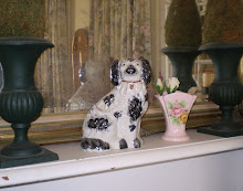 staffordshire spaniel