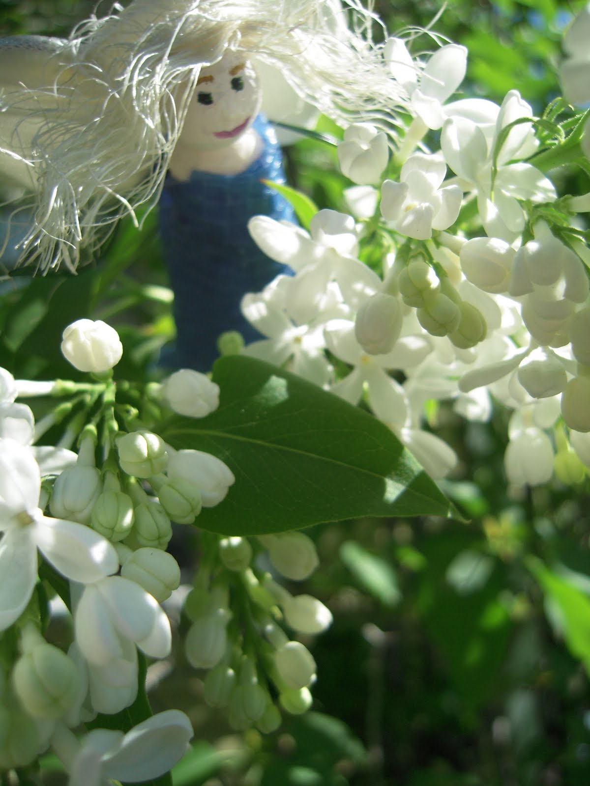 Marvelously Messy Lilac Frolic