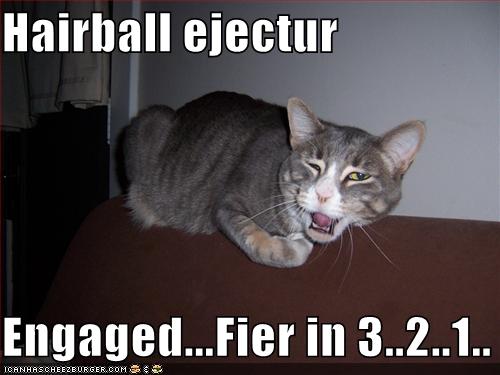 funny-pictures-hairball-ejector-cat.jpg