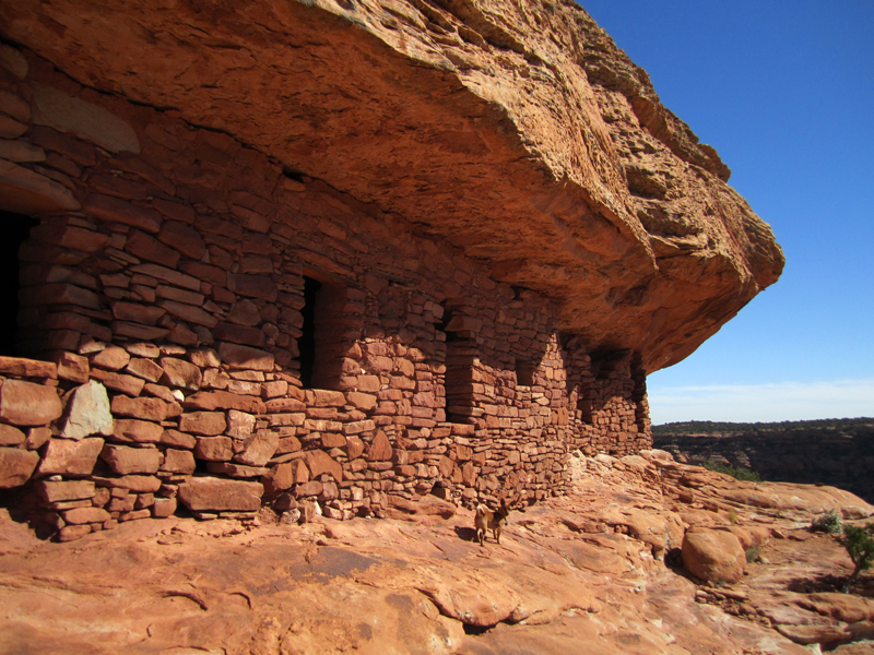 Anasazi Designs
