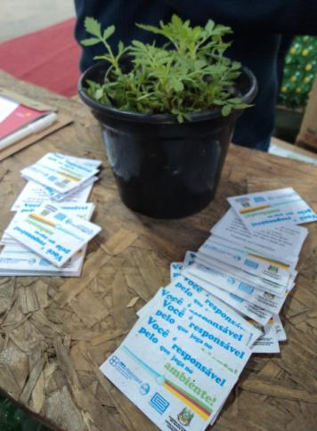 IDÉIA...PAPEL SEMENTE