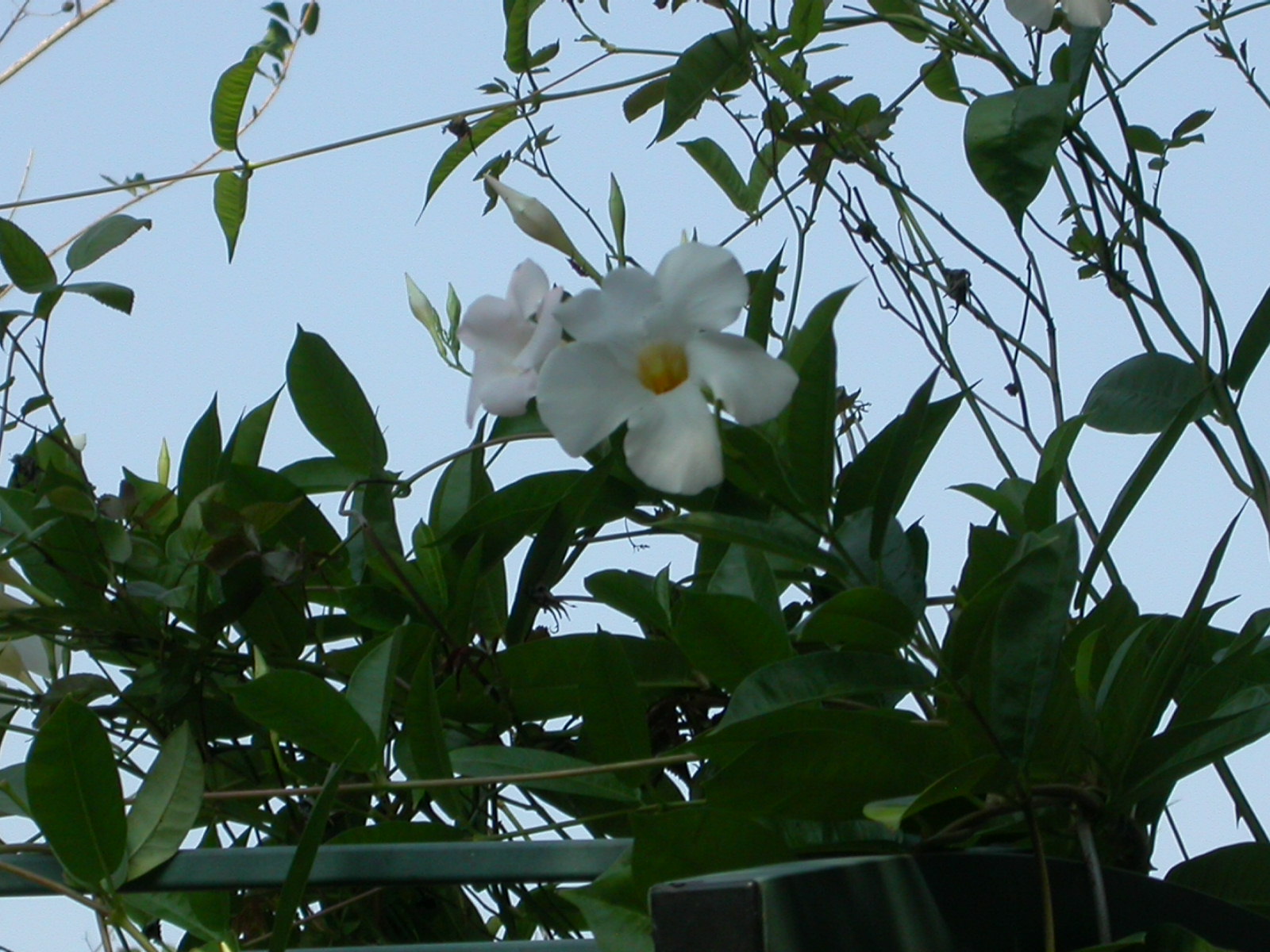 [DSCN8465.JPG]
