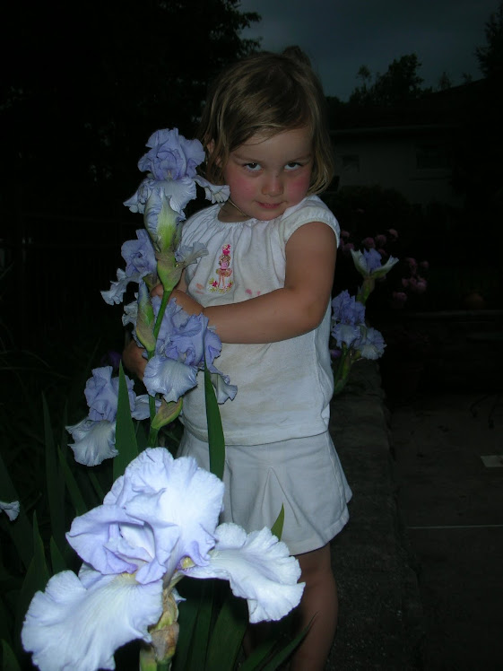 Really Big Irises