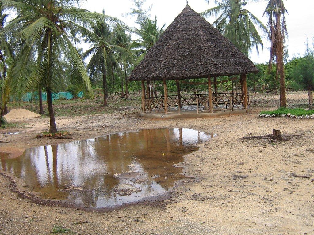What a Difference a Day Makes Children Of Watamu Blog childrenofwatamu