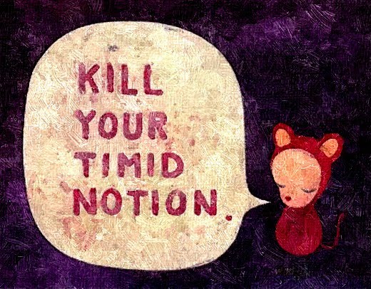 timid-notion.jpg
