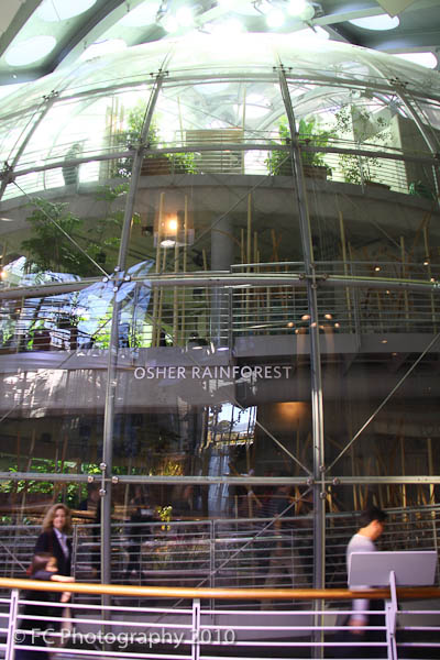 Osher Rainforest  California Academy of Sciences