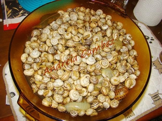 [DSC01105.JPG]