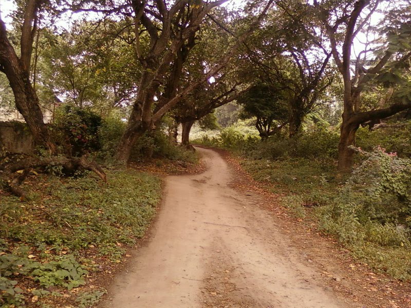 [1+coimbatore.jpg]