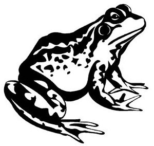 [tribal-frog-tattoo-design-03.jpg]