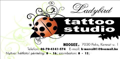 ladybird tattoo studio