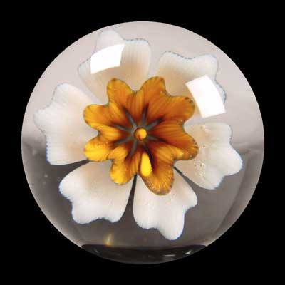 [FlowerChris1Web.jpg]