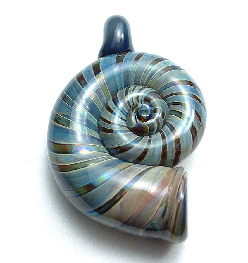 [exotic_shell_2.jpg]