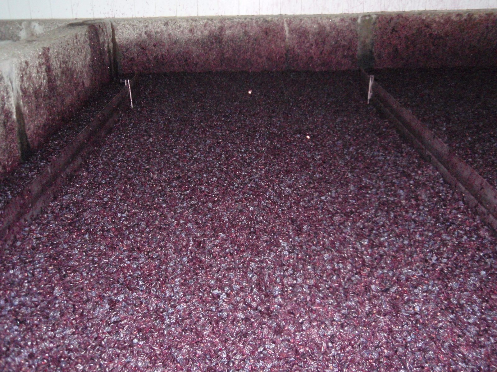 [douro121008+004.JPG]