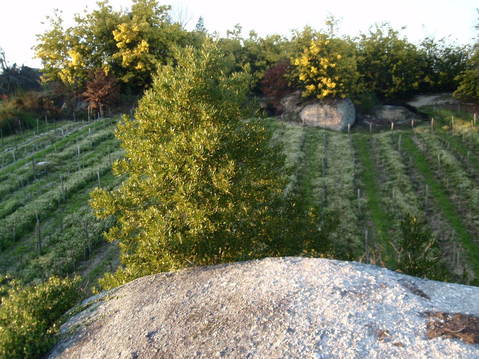 [visitathomascalder+032.JPG]