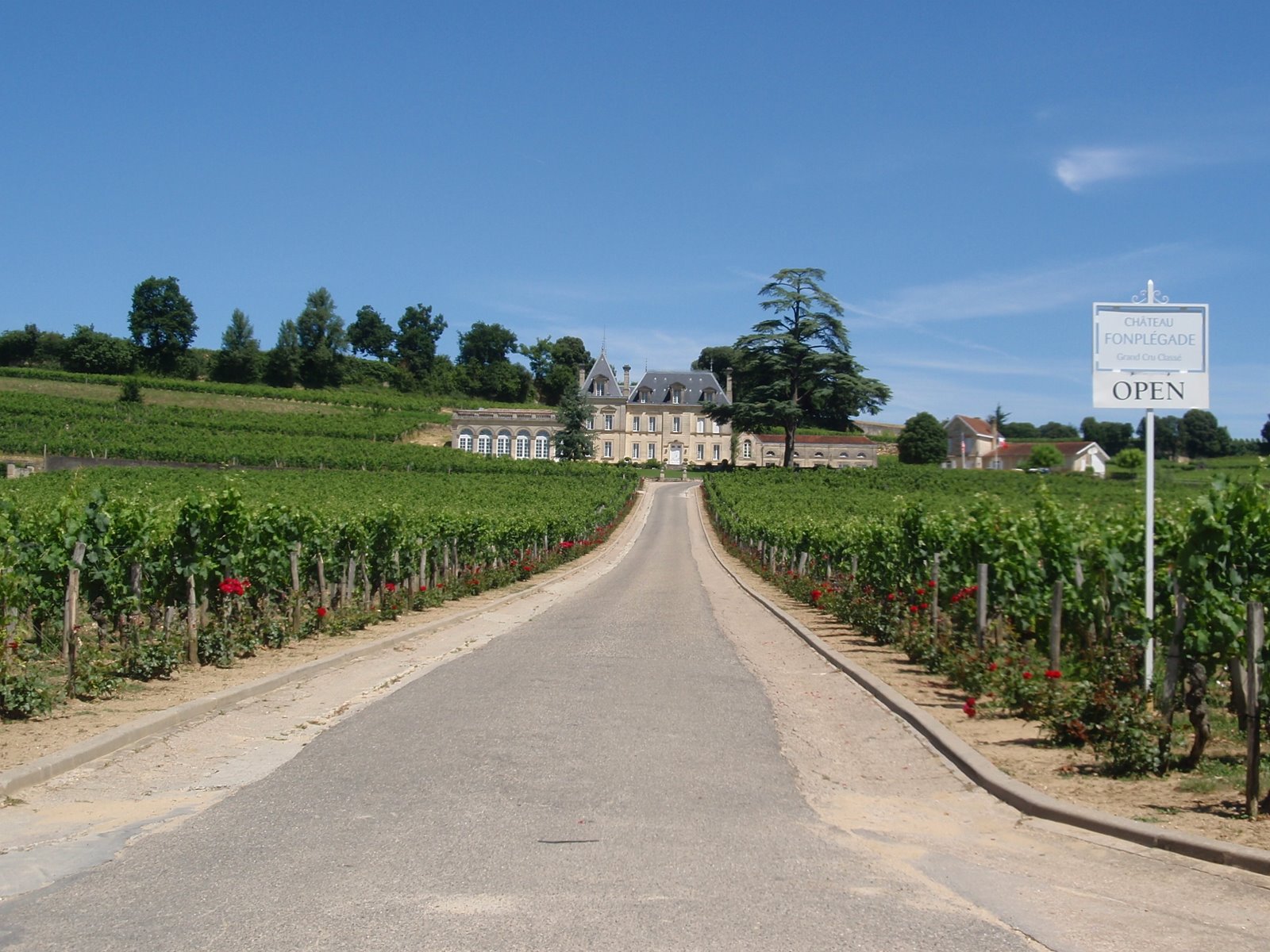 [vinexpo2009+183.JPG]