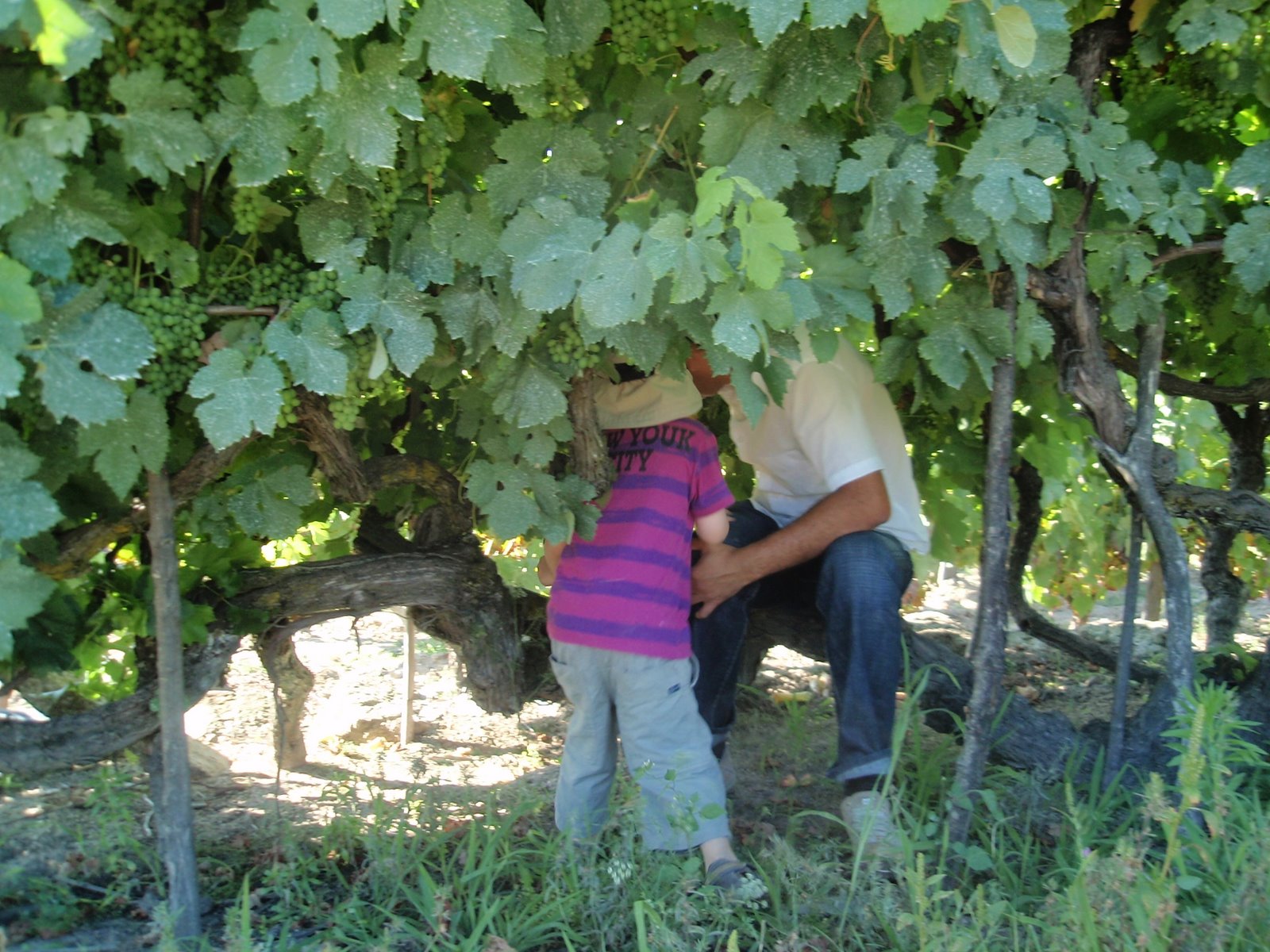 [santarJulho09+092.JPG]