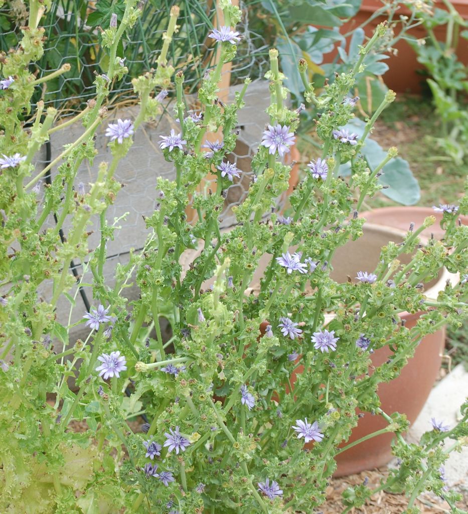 Rambling LA: July 2010