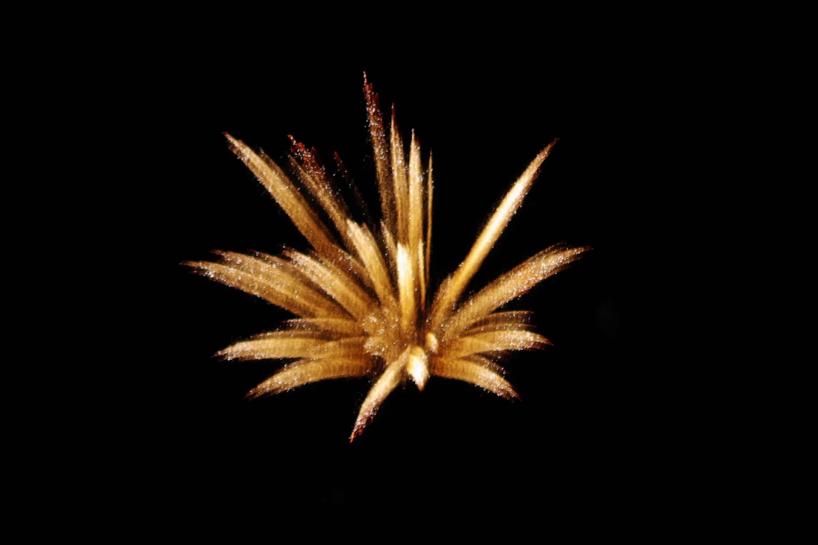 fireworks render