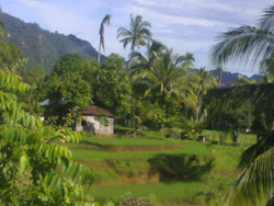 pemandangan