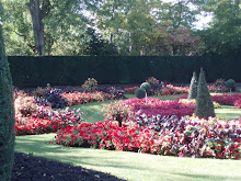 Regent's Park Rose Garden