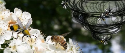 Hverdagsdyr med tegnetryl